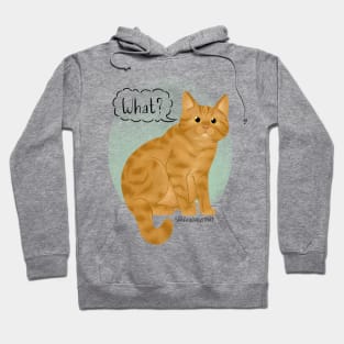 Defensive Kitty Hoodie